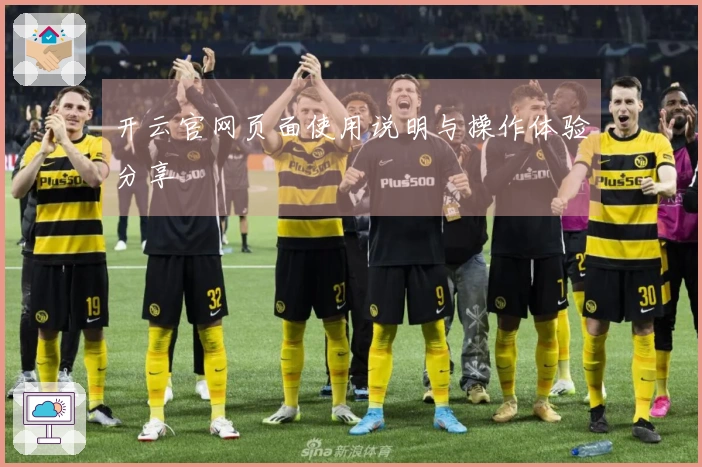 开云官网页面使用说明与操作体验分享