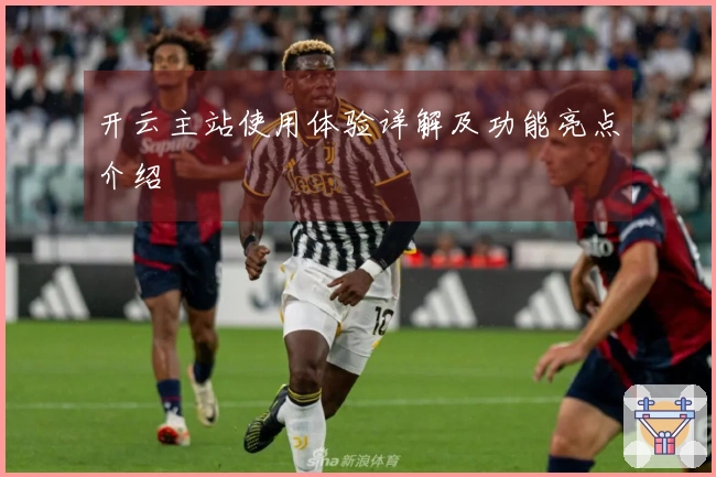 开云主站使用体验详解及功能亮点介绍