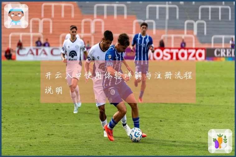 开云入口使用体验详解与注册流程说明